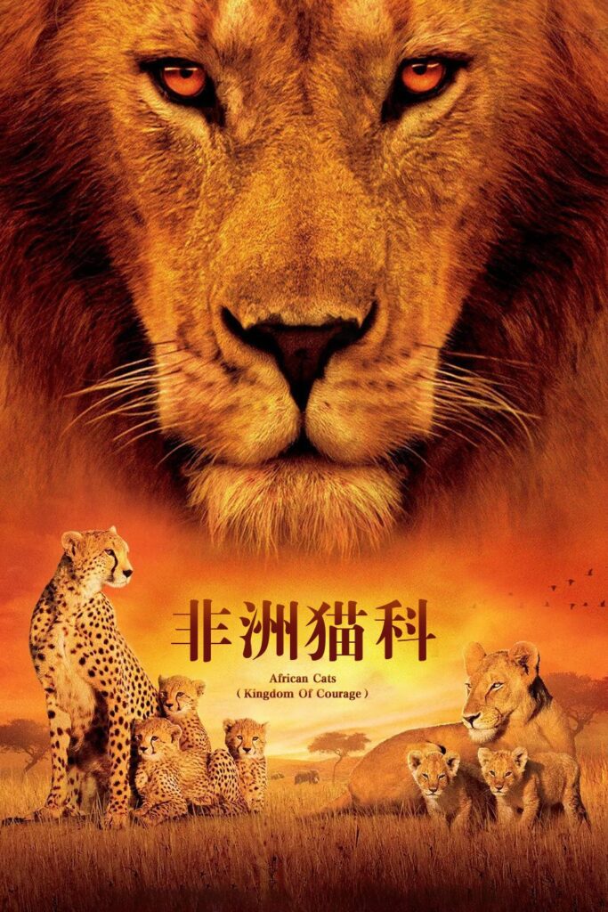 非洲猫科
