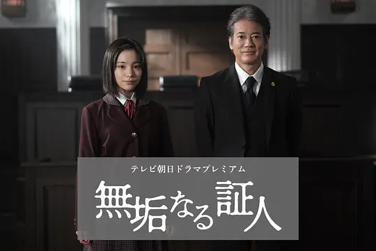 无垢的证人