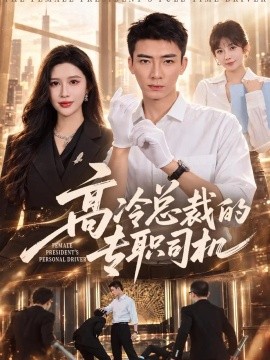 高冷总裁的专职司机