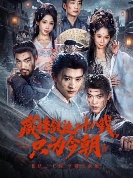 藏锋敛迹二十八载，只为今朝
